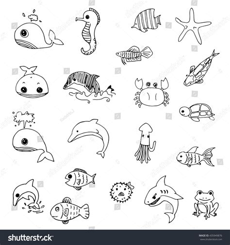 Aquatic Animal Drawing royalty.